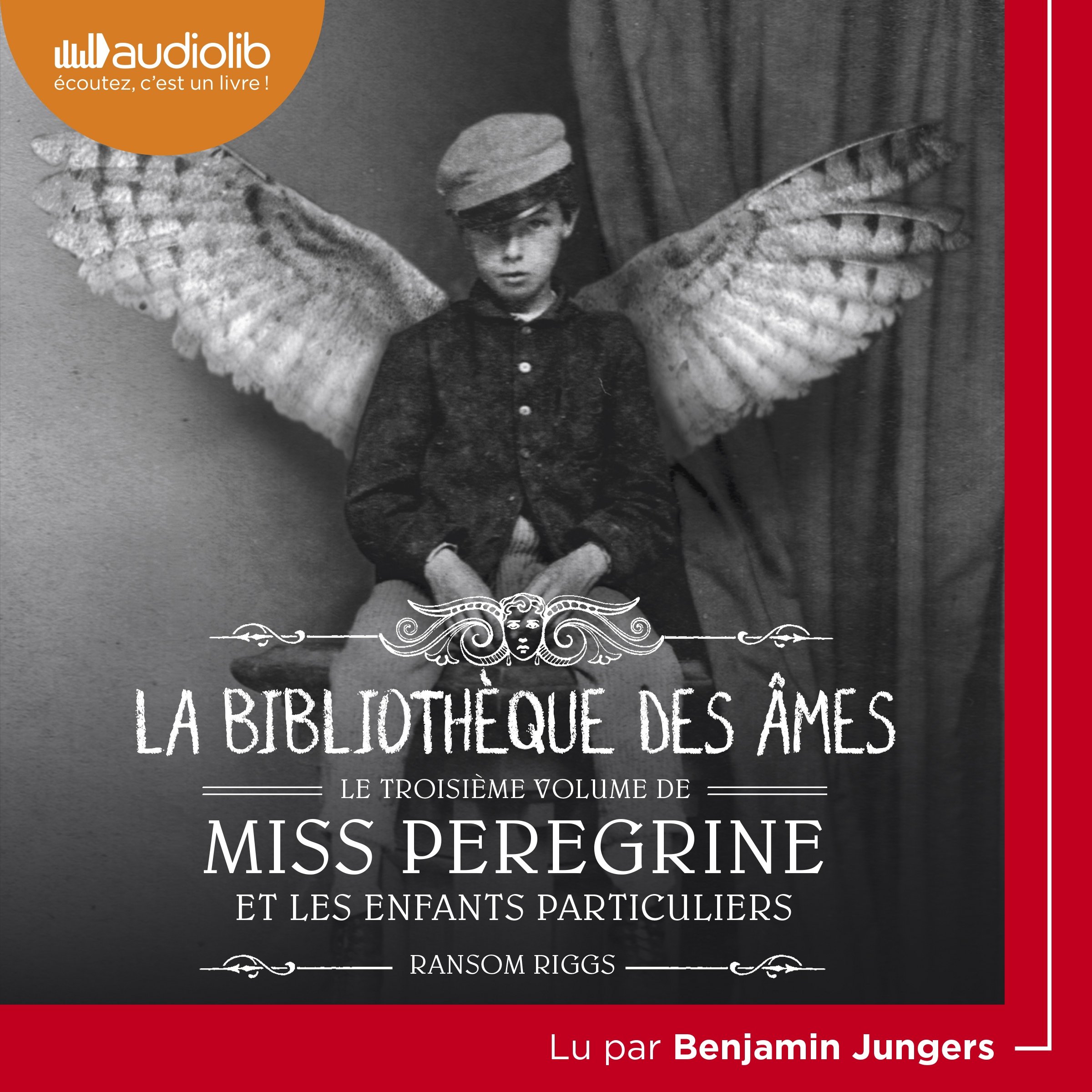 Cover art for La Bibliothèque des âmes