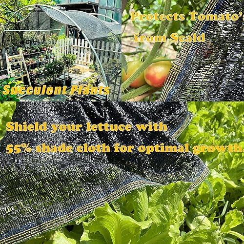 Miniatura 6 de KAAOGITY 55% 10 pies x 13 pies protector solar cubierta de tela de malla resistente a los rayos UV para jardín, flores, plantas, invernadero, negro