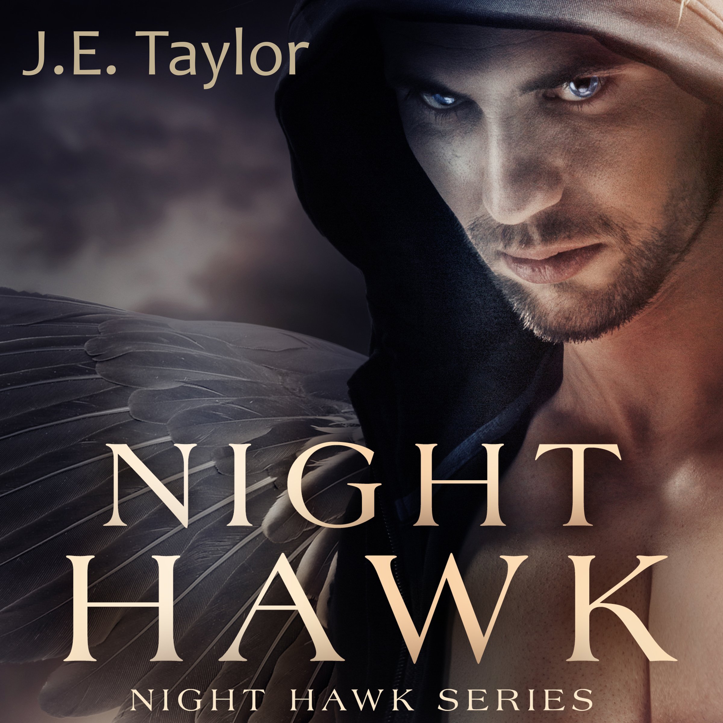 Cover art for Night Hawk
