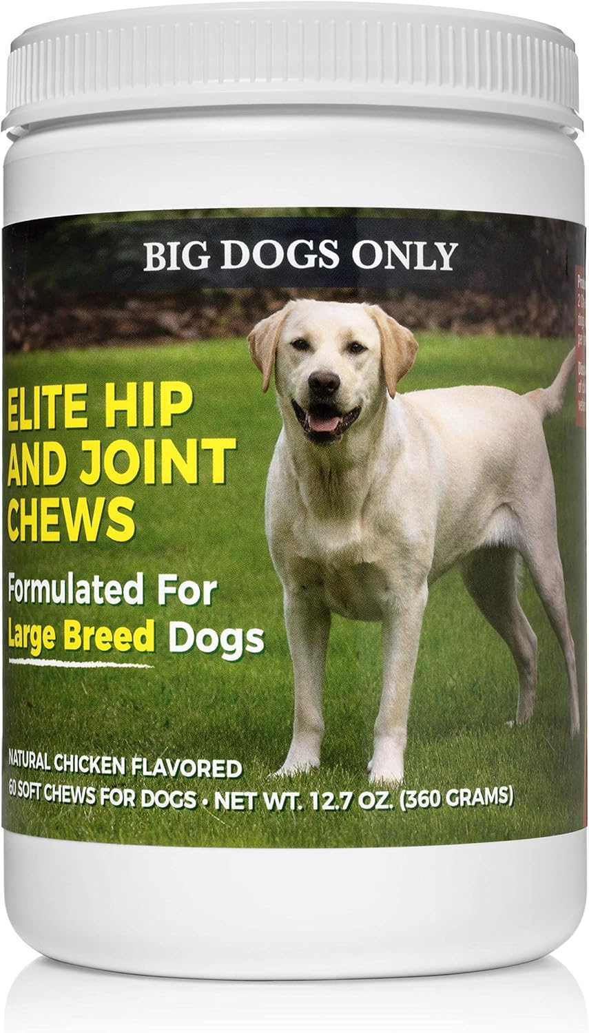 Big Dogs Rule Dog Joint Supplement Large Breed Chews