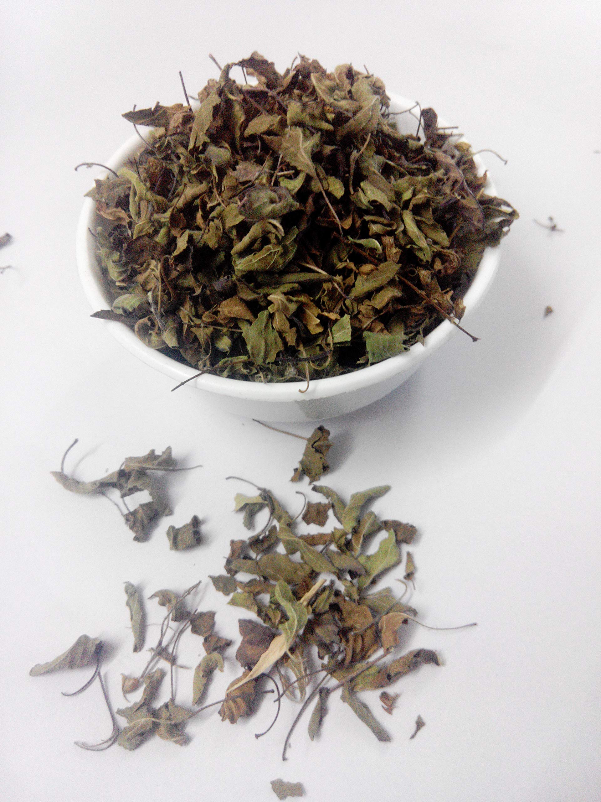 CARMEL ORGANICS Tulsi Leaves Powder (340 Grams)| Jaivik Bharat Certified | Holy Basil Powder For Health, Skin & Hair| Non GMO | No Added Preservative | Thulasi Podi/Tulasi Podi/Tulasi Hudi - Image 6 thumbnail