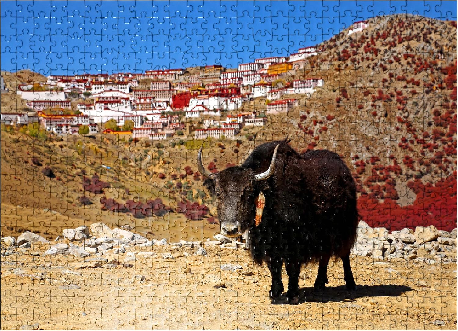 MyPuzzle Yak with View to Ganden Monastery At Drog Riboche Mountain Near Tagtse Dzong, Tibet, China - Premium 500 Piece Jigsaw Puzzle for Adults