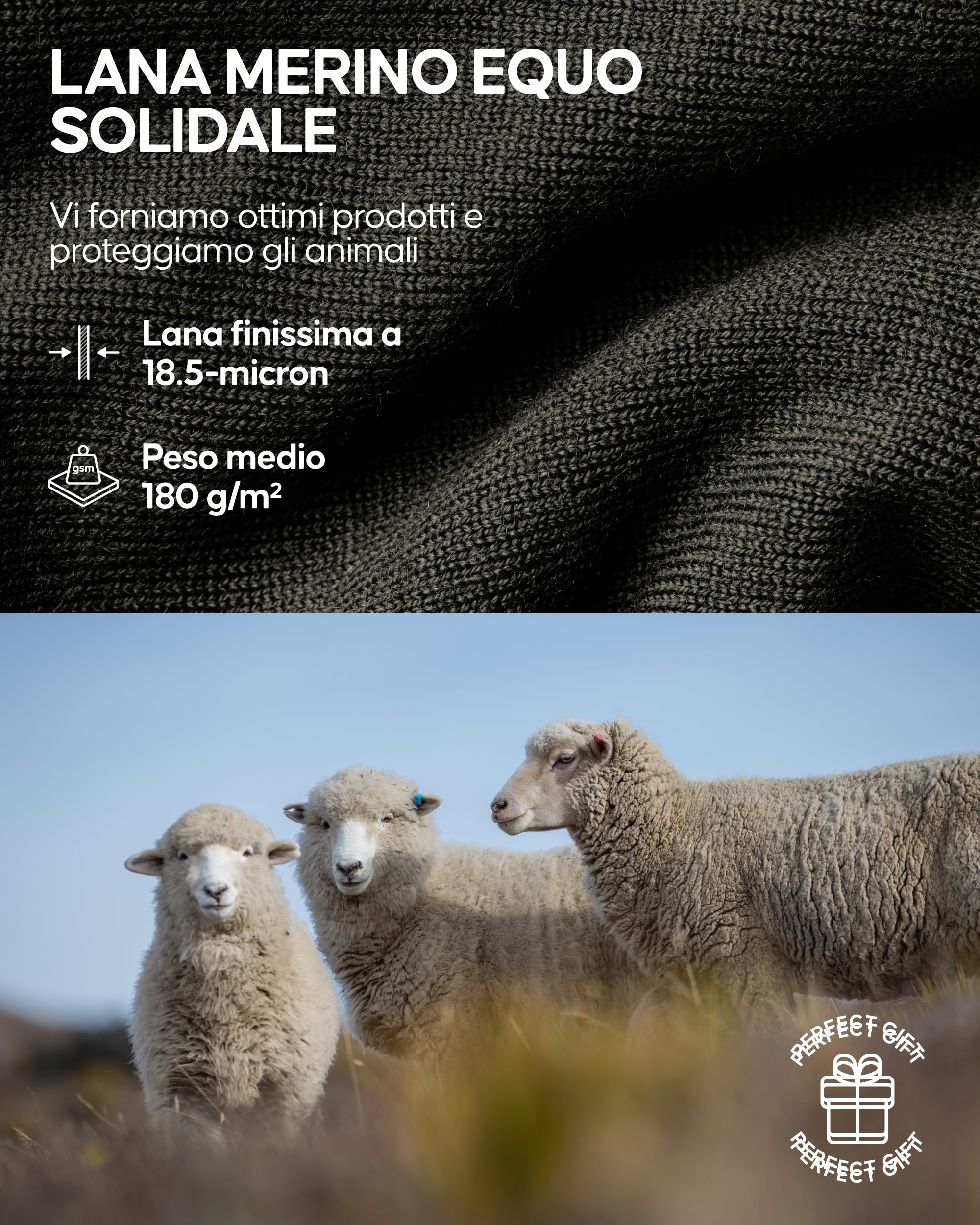 DANISH ENDURANCE Intimo Termico Uomo Lana Merino, Maglia Termica Uomo e Pantaloni Termici, Calzamaglia Termica Uomo Invernale per Sci, Trekking