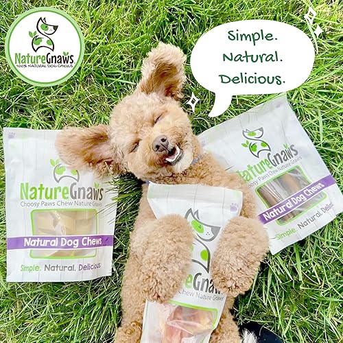 Miniatura 6 de Nature Gnaws - Chips crujientes de Estados Unidos para perros - Golosinas naturales masticables para perros de un solo ingrediente - Fabricado en