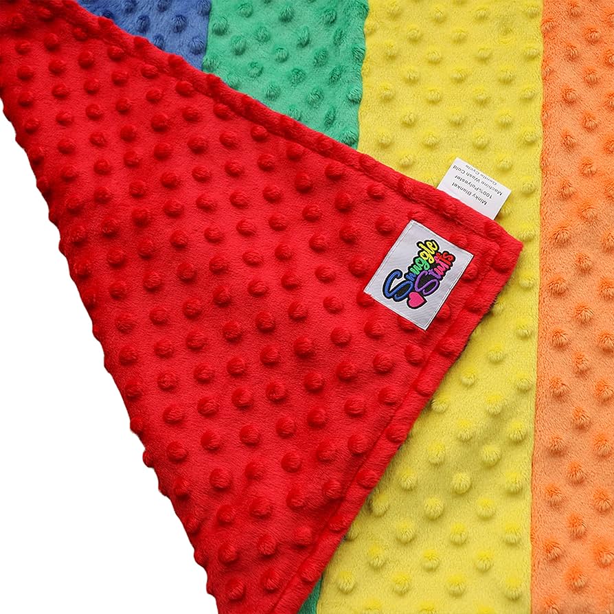 Amazon.com: Luxury Minky Dot Plush Rainbow Flag Baby Blanket
