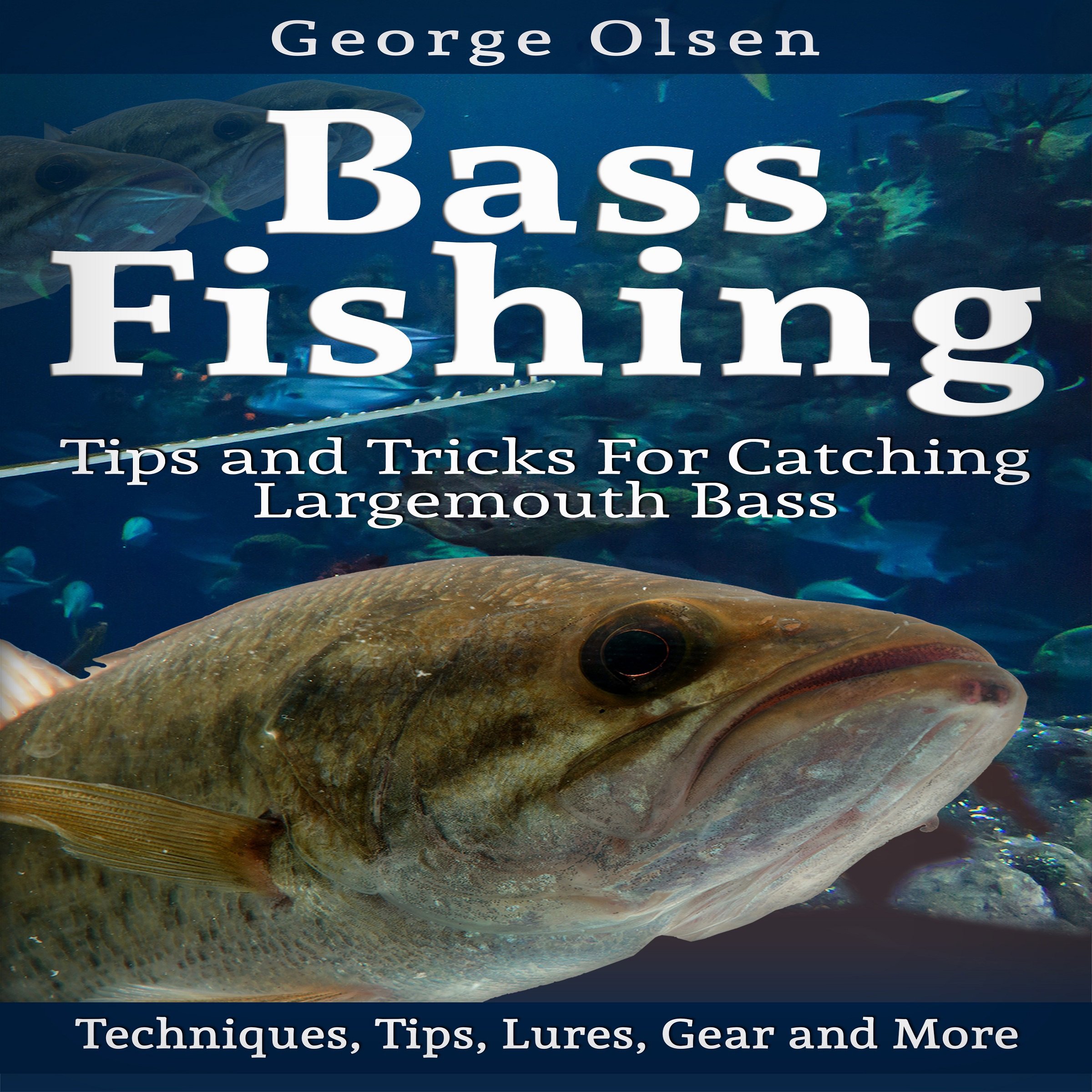 Cover art for Bass Fishing