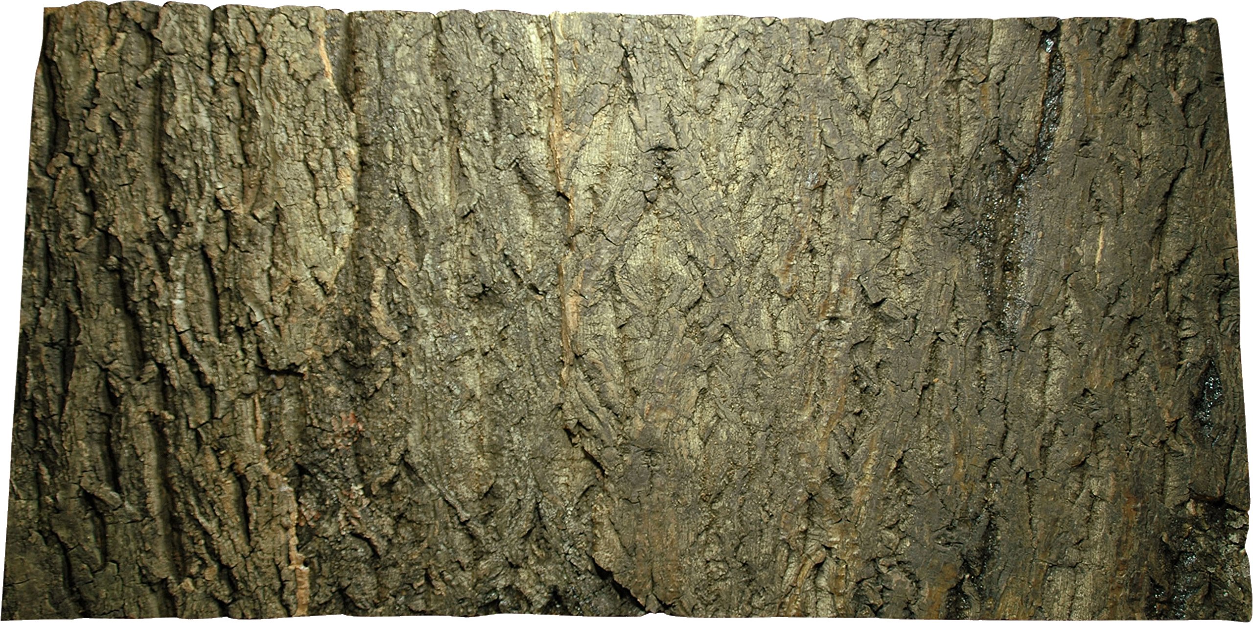 Lucky Reptile kbgr 44 Sughero Grob, 375 X 365 mm
