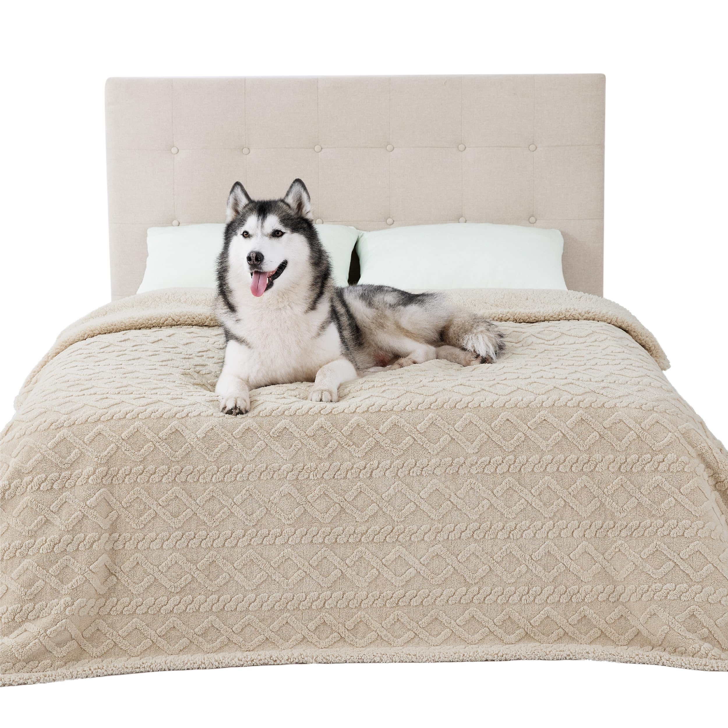 Bedsure Waterproof Dog Blankets for Bed - Pet Blanket for Bed Couch Protector Washable, Jacquard Coral Fleece Cat Throw Blanket, Soft Plush Reversible