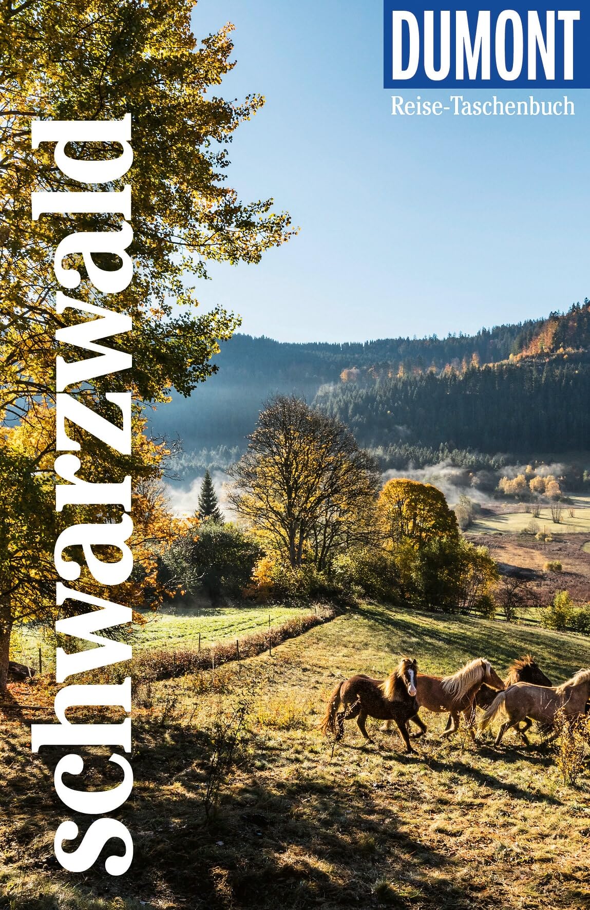 DUMONT Reise-Taschenbuch Reiseführer Schwarzwald: Reiseführer plus Reisekarte. Mit individuellen Autorentipps und vielen Touren.