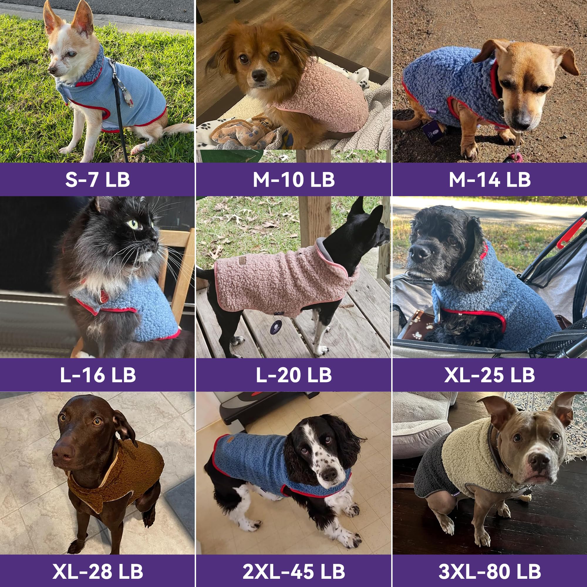 cyeollo Abrigo de invierno para perros pequeños, abrigo de invierno reversible de forro polar cálido para perros pequeños, chaleco para perros pequeños machos con agujero para correa, ropa suave para