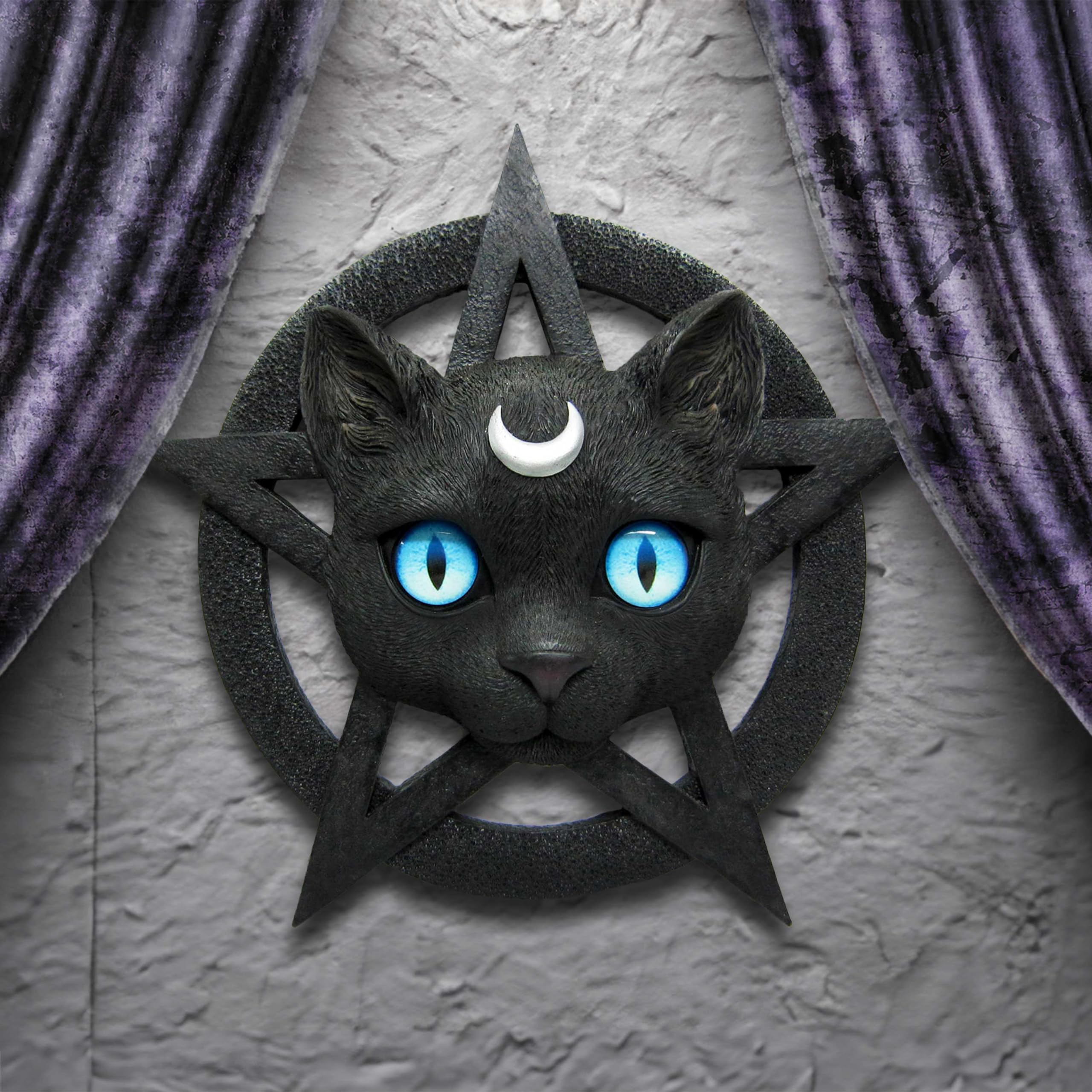 Nemesis Now Feline Worship Wall Plaque 25.5cm, Resin, Black, Cat Pentagram Hanging Wall Art - Image 4
