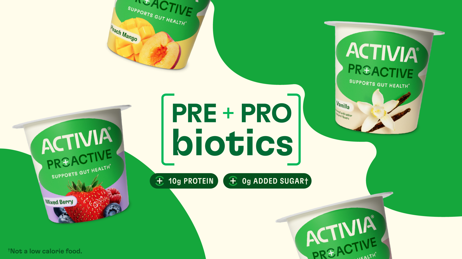Amazon.com: Activia Proactive Peach Mango Prebiotic and Probiotic