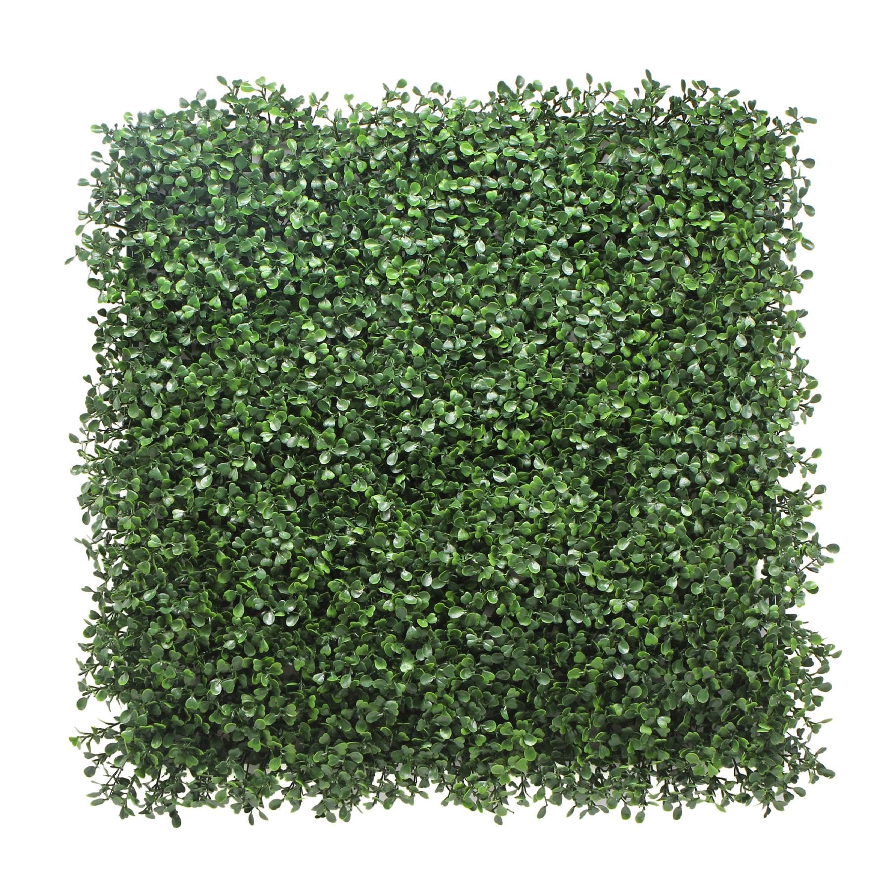 Artificial Green Boxwood Living Wall Hedge Plant Panel In/Outdoor 50cm x 50cm