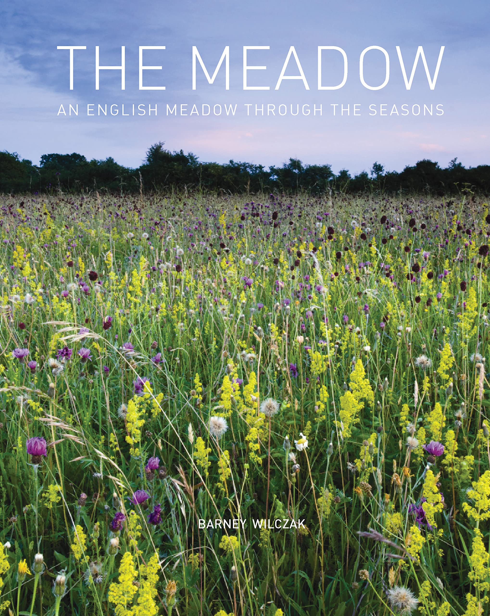 Meadow English Meadow guide botanique faune flore campagne anglaise