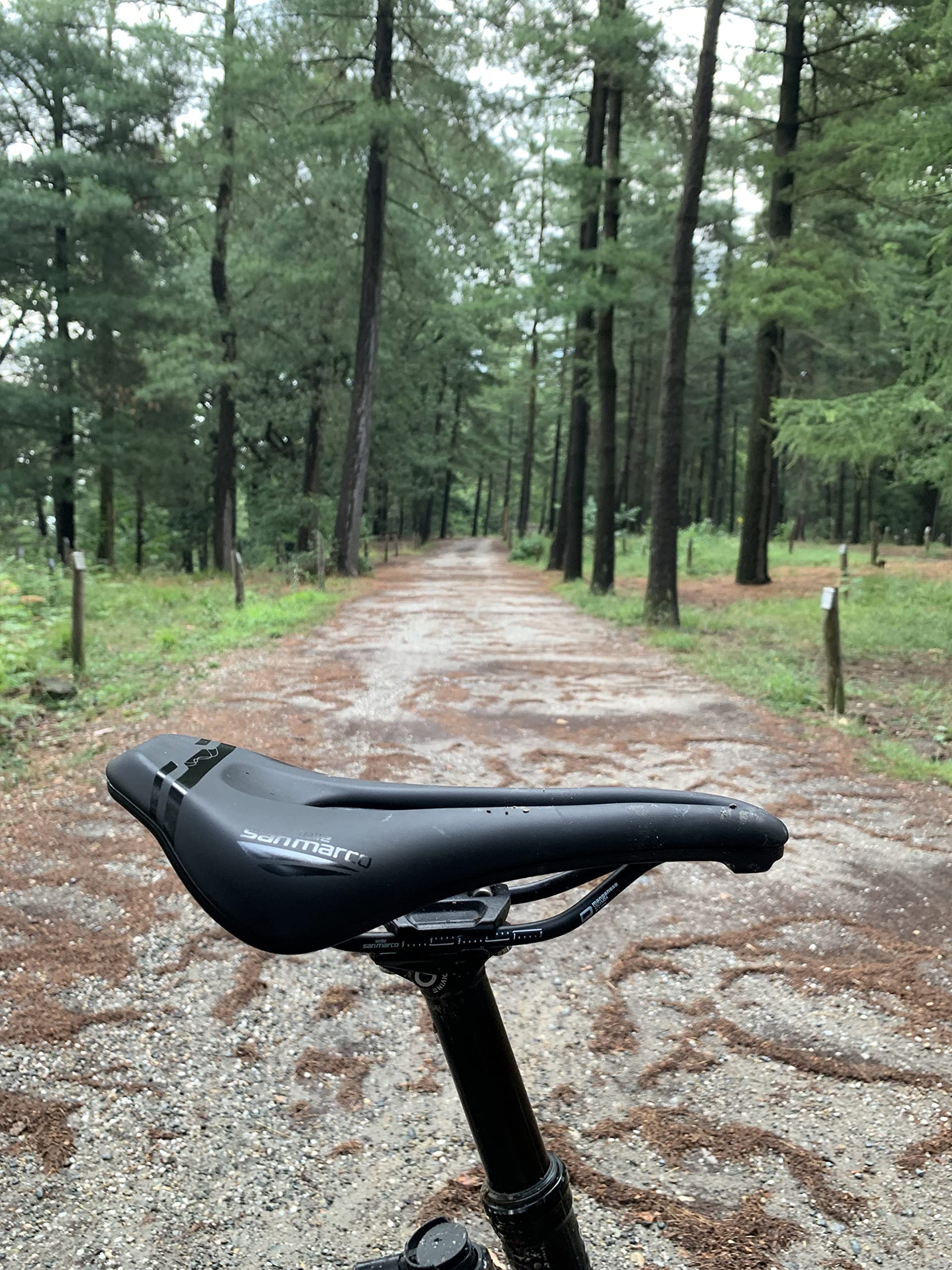Amazon | セラサンマルコ（SELLE SAN MARCO） 自転車用サドル