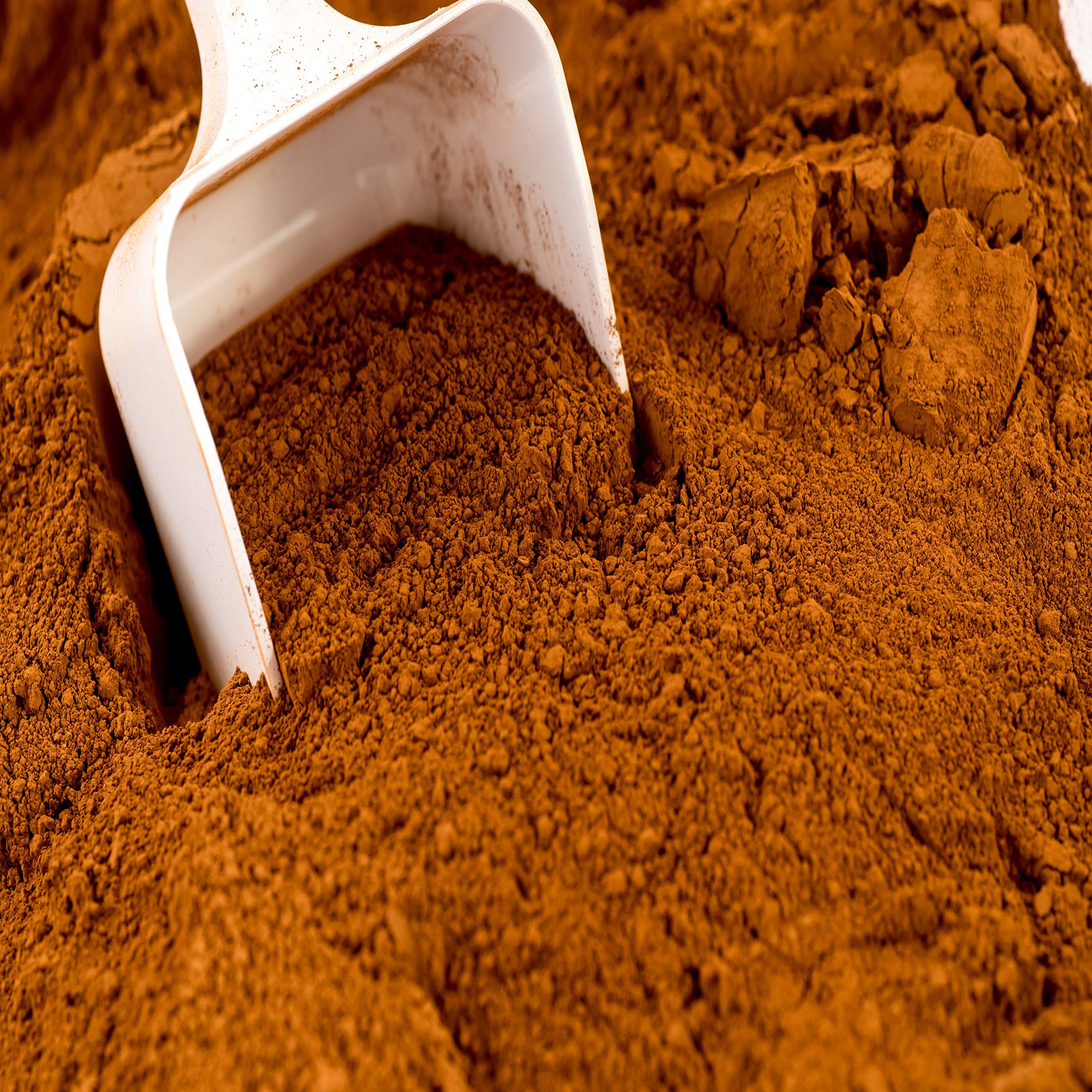 Pigment Naturel Jaune Havane 500g - Pour Peintures, Enduits Béton et Chaux - Poudre Colorante - Origine Europe