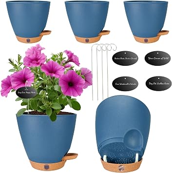 6 Inch Small Self Watering Pots for Indoor Plants, 5-Pack