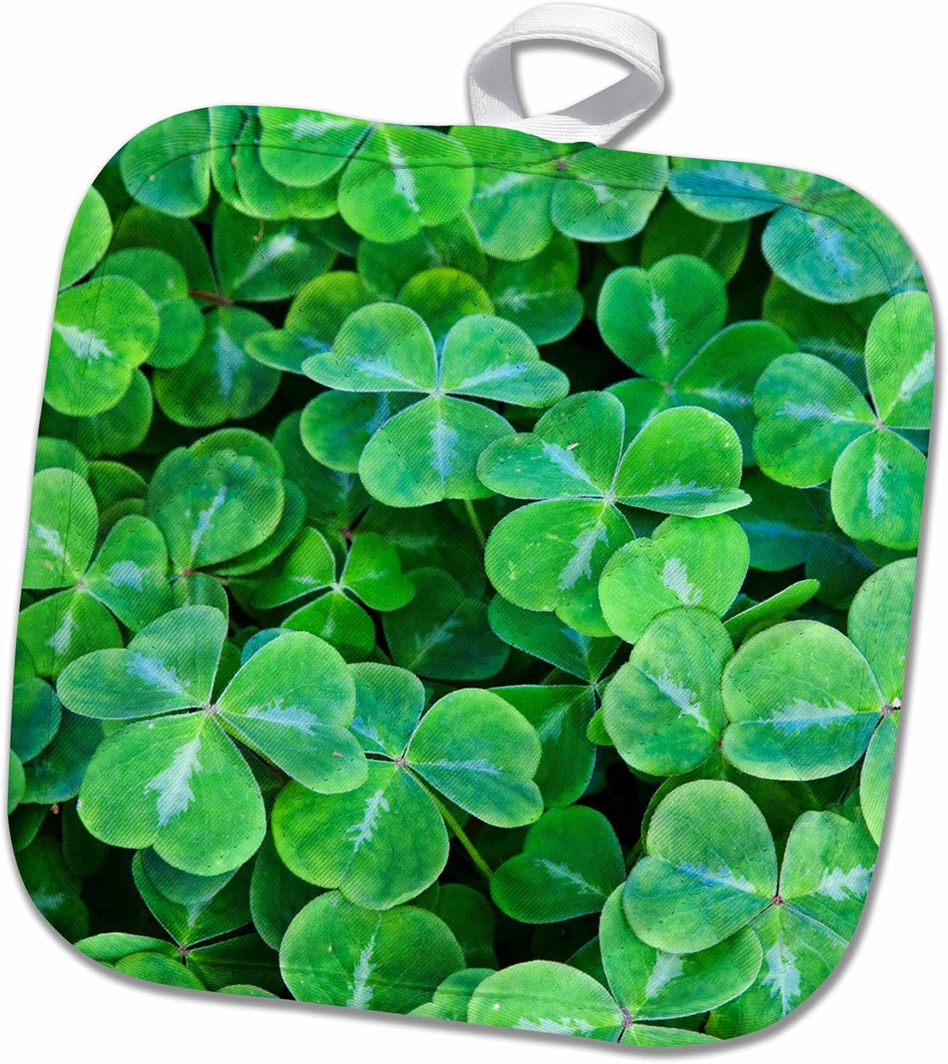 3D Rose British Columbia-Vancouver-Hately Gardens Shamrock-Cn02 Teg0074-Terry Eggers Pot Holder, 8 x 8