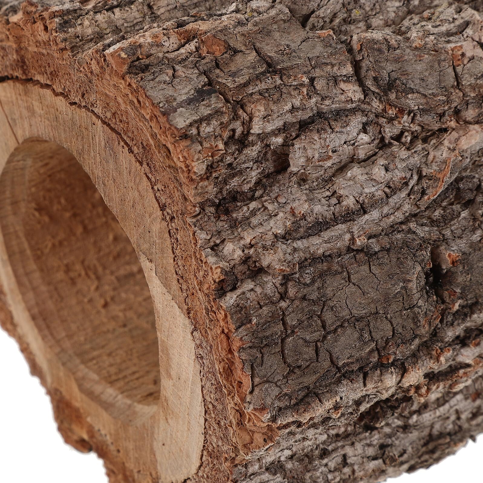 Escondite de Tortugas Tronco de Árbol Hueco de Madera Marrón