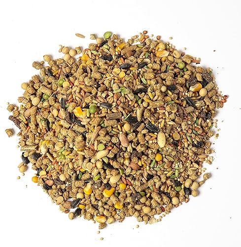 Miniatura 7 de Wild Harvest Dieta nutricional y dieta nutricional avanzada para hámsteres y jerbos