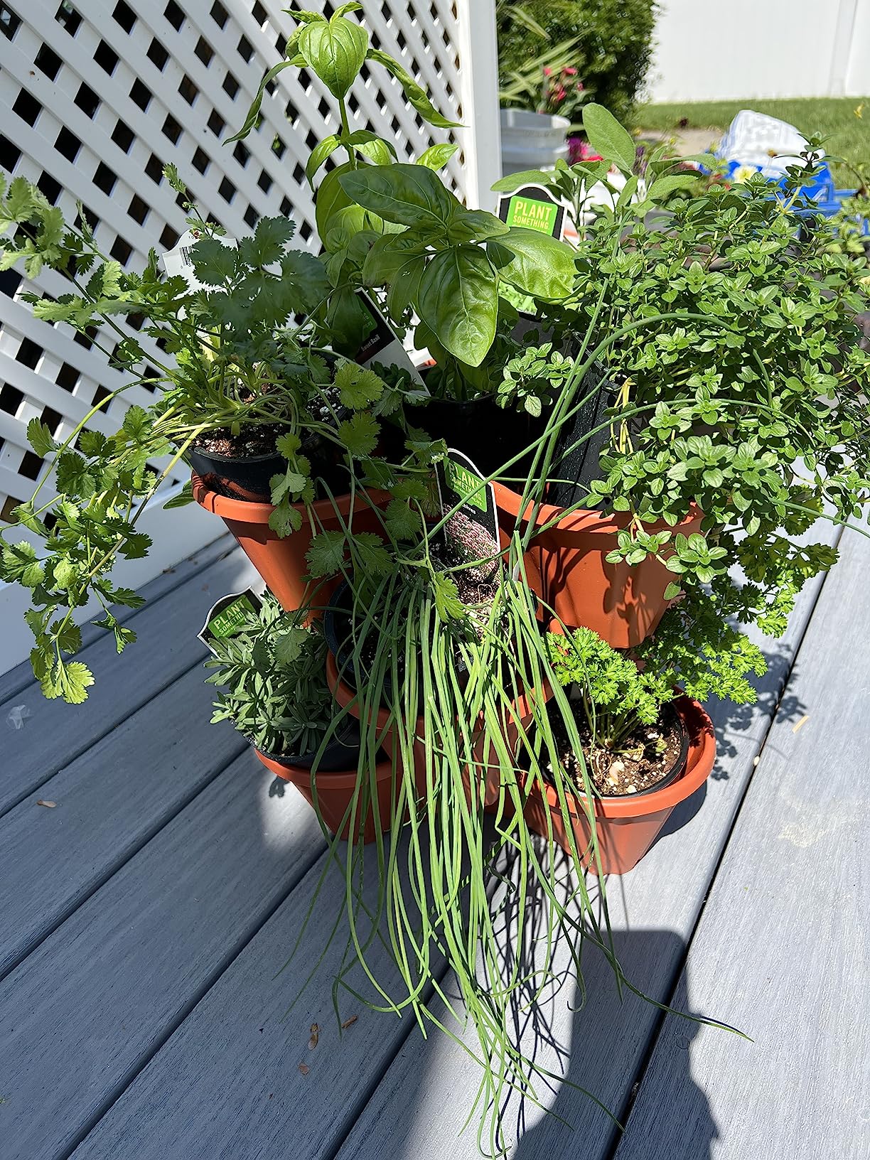 Pure Garden 3-tier with strawberries and herbs