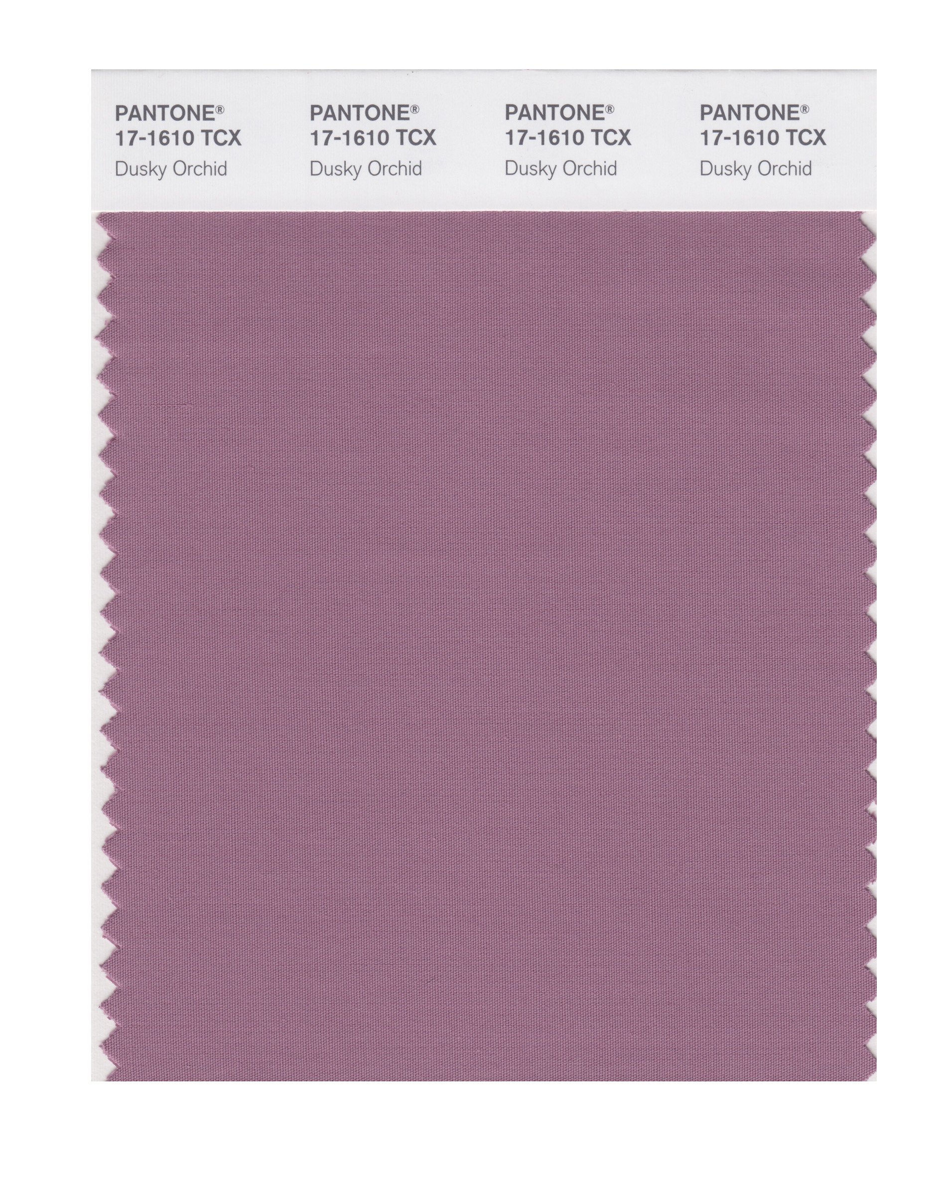 Buy PANTONE Smart 17-1610X Color Swatch Card, Dusky Orchid Online at ...