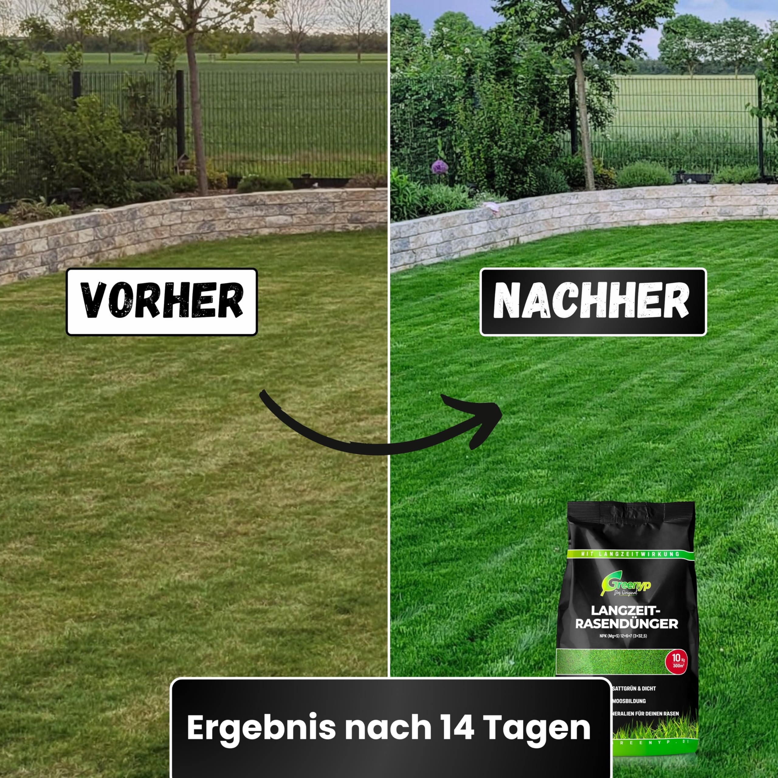 Greenyp Kompakt Langzeit Rasendnger Frhjahr I 20kg fr 600m I mit  Langzeitwirkung & Depotwirkung fr Frhjahr bis Sptsommer I verhindert  Moosbildung I NPK Dnger Rasen Dnger : Amazon.de: Garten