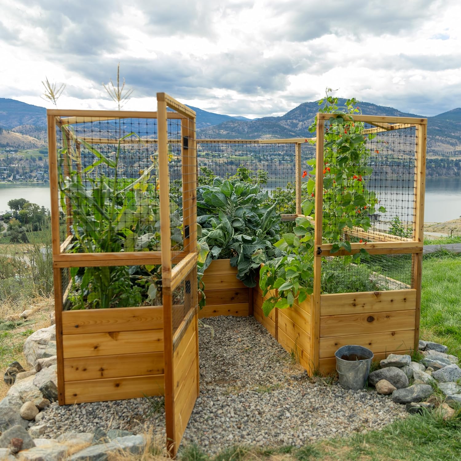 Outdoor Living Today 8x8 Deer Proof Raised Garden Bed