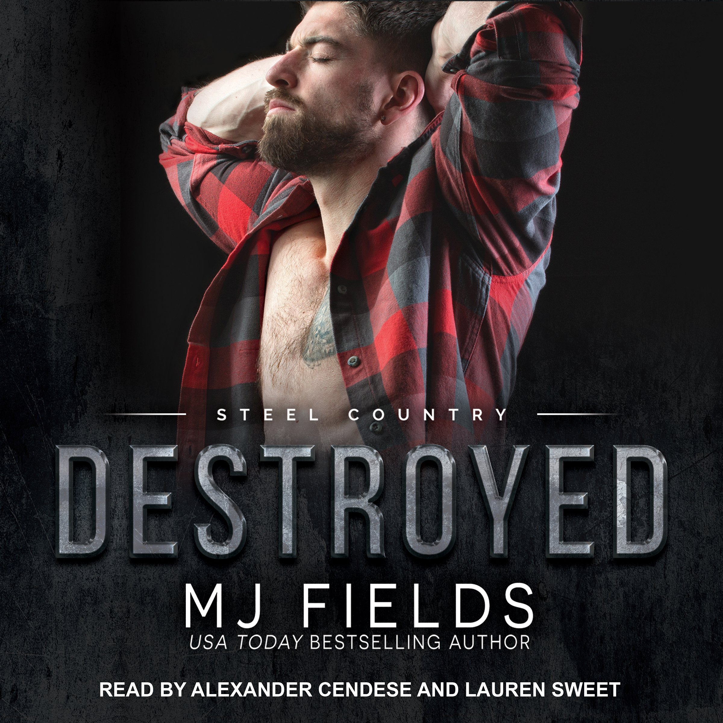 Cover art for Destroyed: Steel Country, Book 2