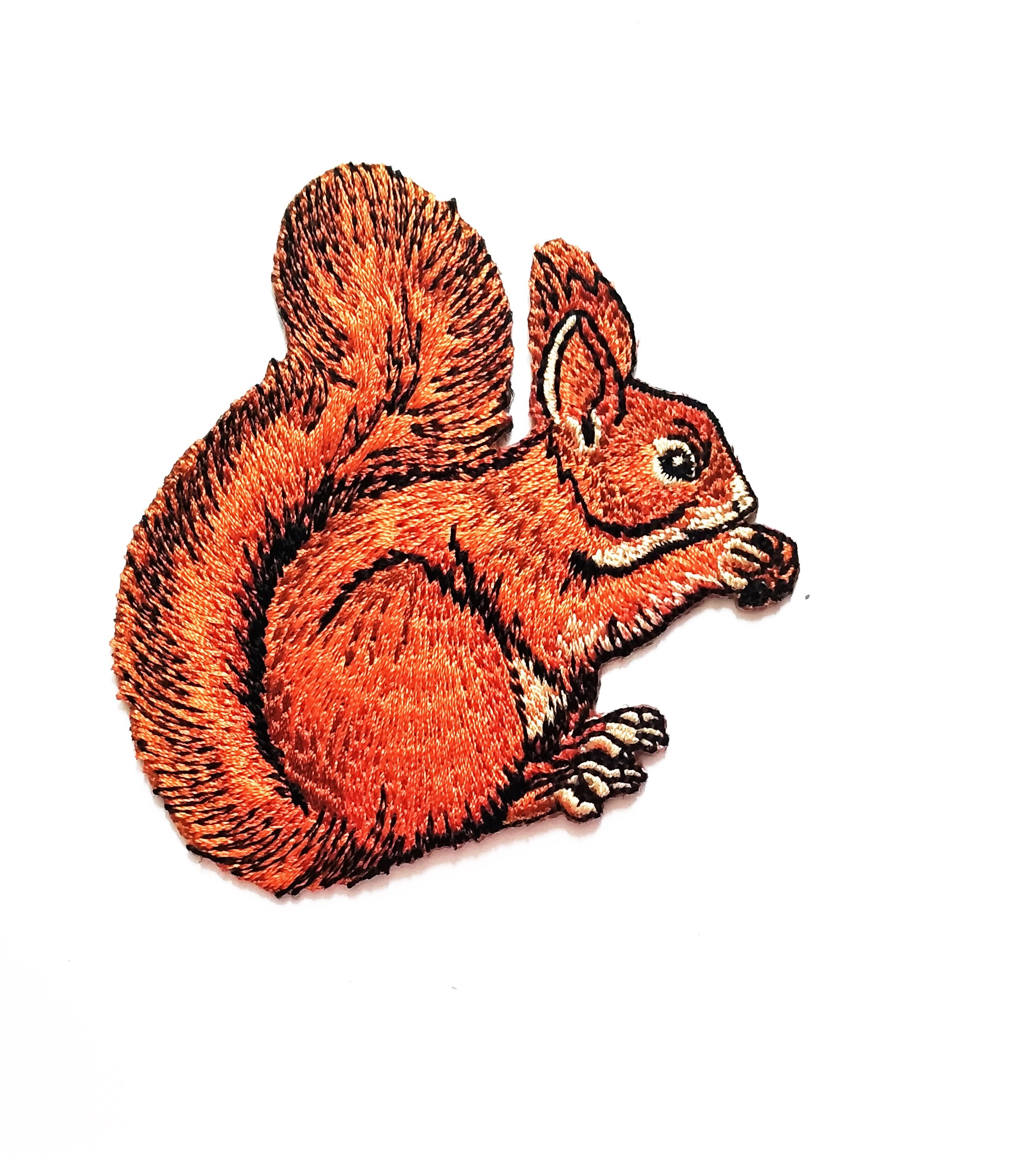 Nipitshop Patches Natural Squirrel Brown Animal eat Vegetable Cartoon Kids Patch Embroidered Iron On Patch for Clothes Backpacks T-Shirt Jeans Skirt Vests Scarf Hat Bag