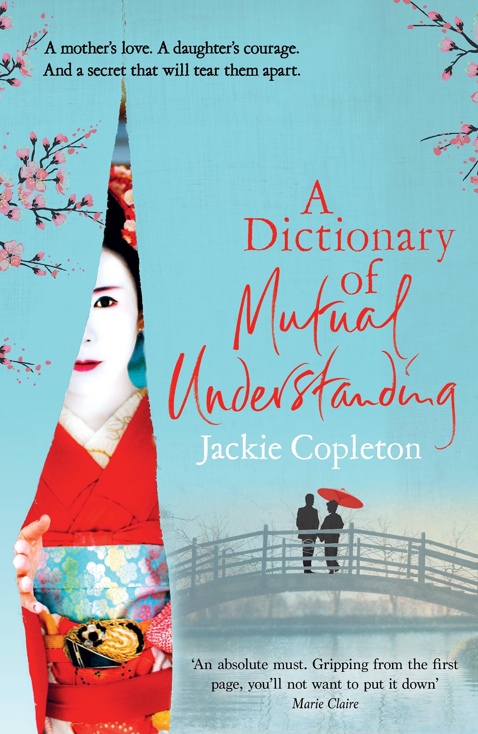 A Dictionary of Mutual Understanding: The compelling Richard and Judy Summer Book Club winner Paperback – 5 May 2016
