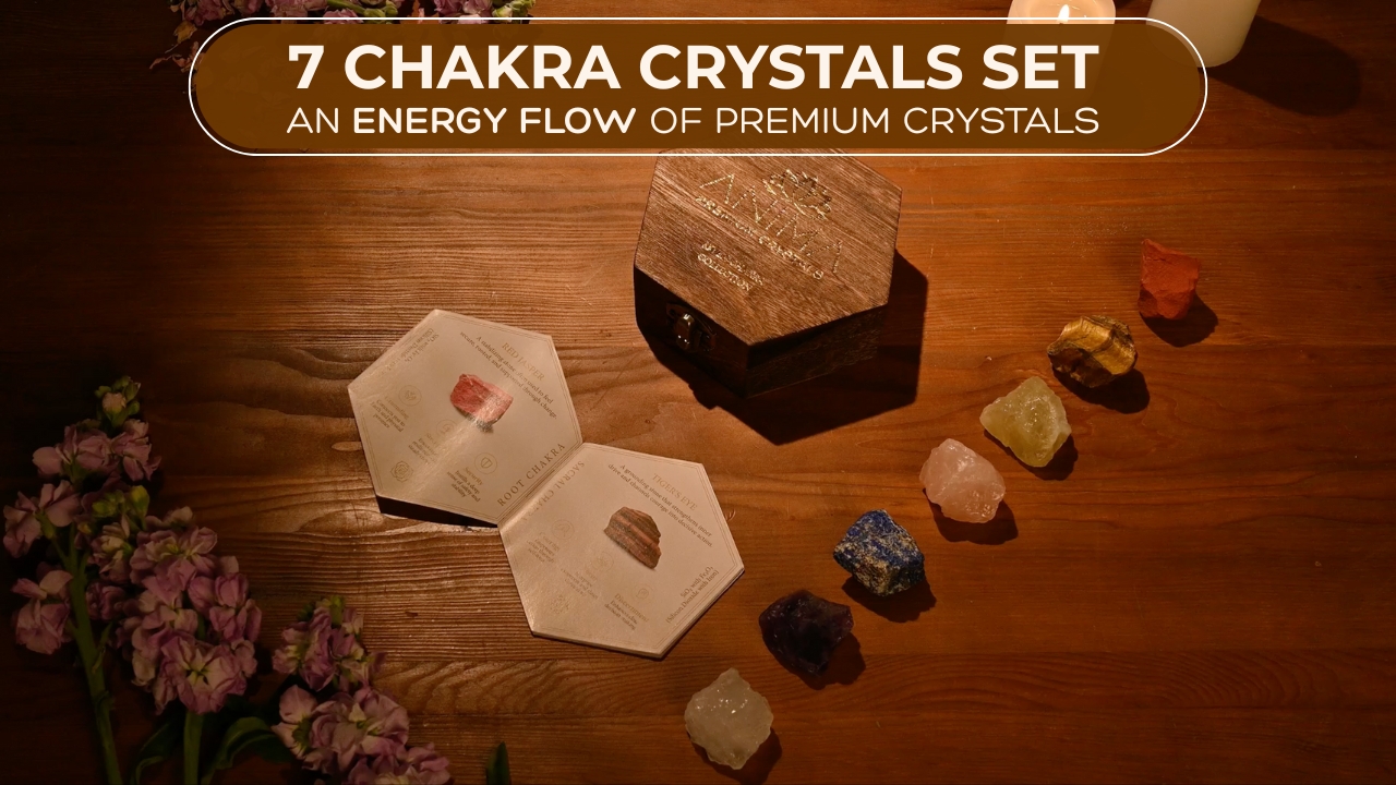 Amazon.com: Anima Premium 7 Chakra Healing Crystals Set for Energy