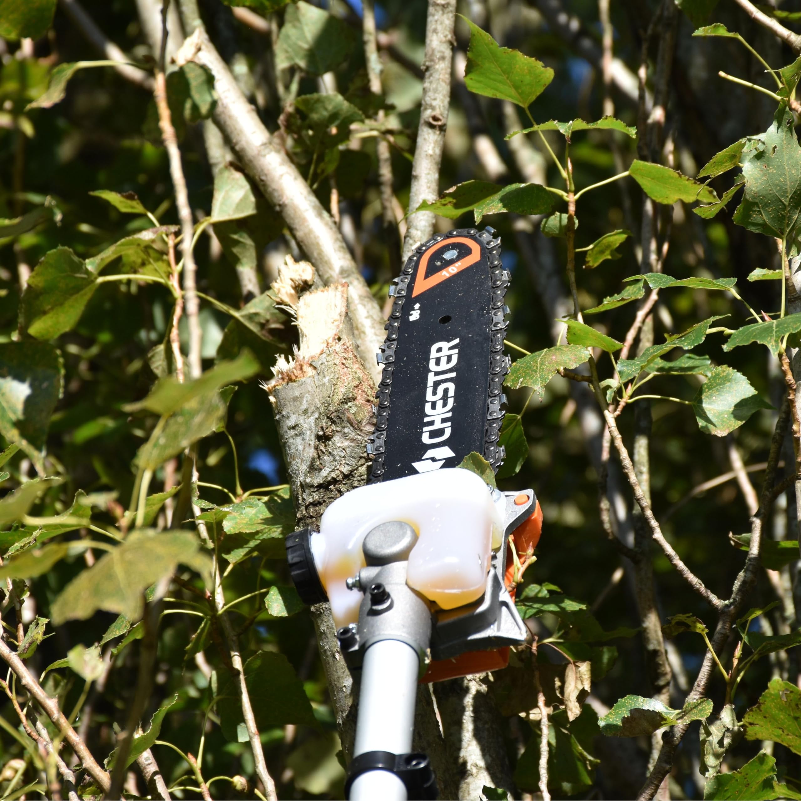 Desbrozadora multifuncíon: térmica, 4 en 1, motosierra-podadora, cortasetos, desbrozadora, extensible