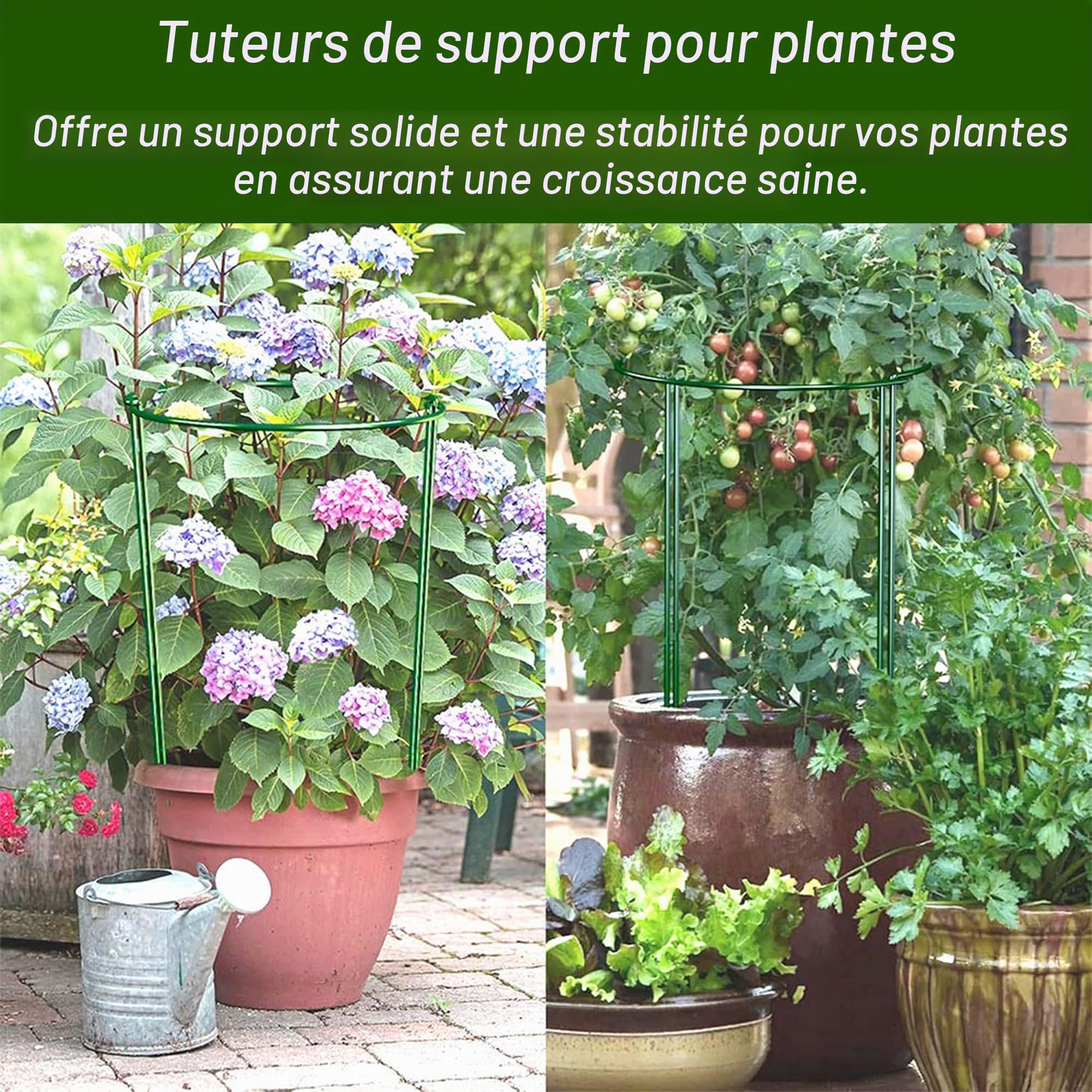 Lot de 10 supports de plantes semi-circulaires en métal - 40 x 25 cm - Support pour plantes en pot, fleurs, légumes