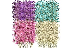 Preserved Baby's Breath Accessories for Everlasting Floral Creations