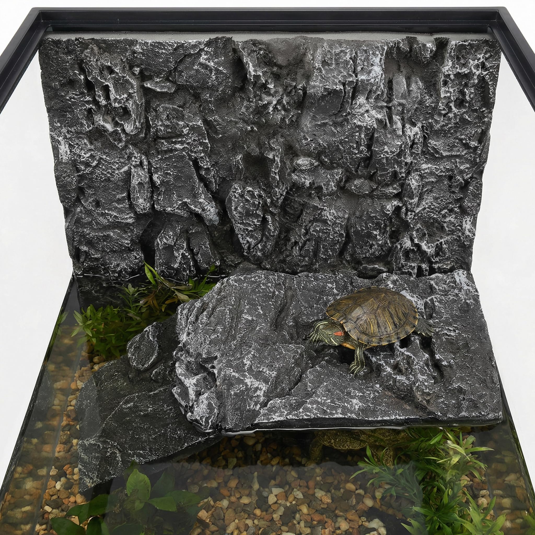 Toddmomy Toile de fond 3D pour terrarium de reptiles - Toile de fond décorative pour terrarium barbu, lézard, gecko, araignée, caméléon, tortue, poisson