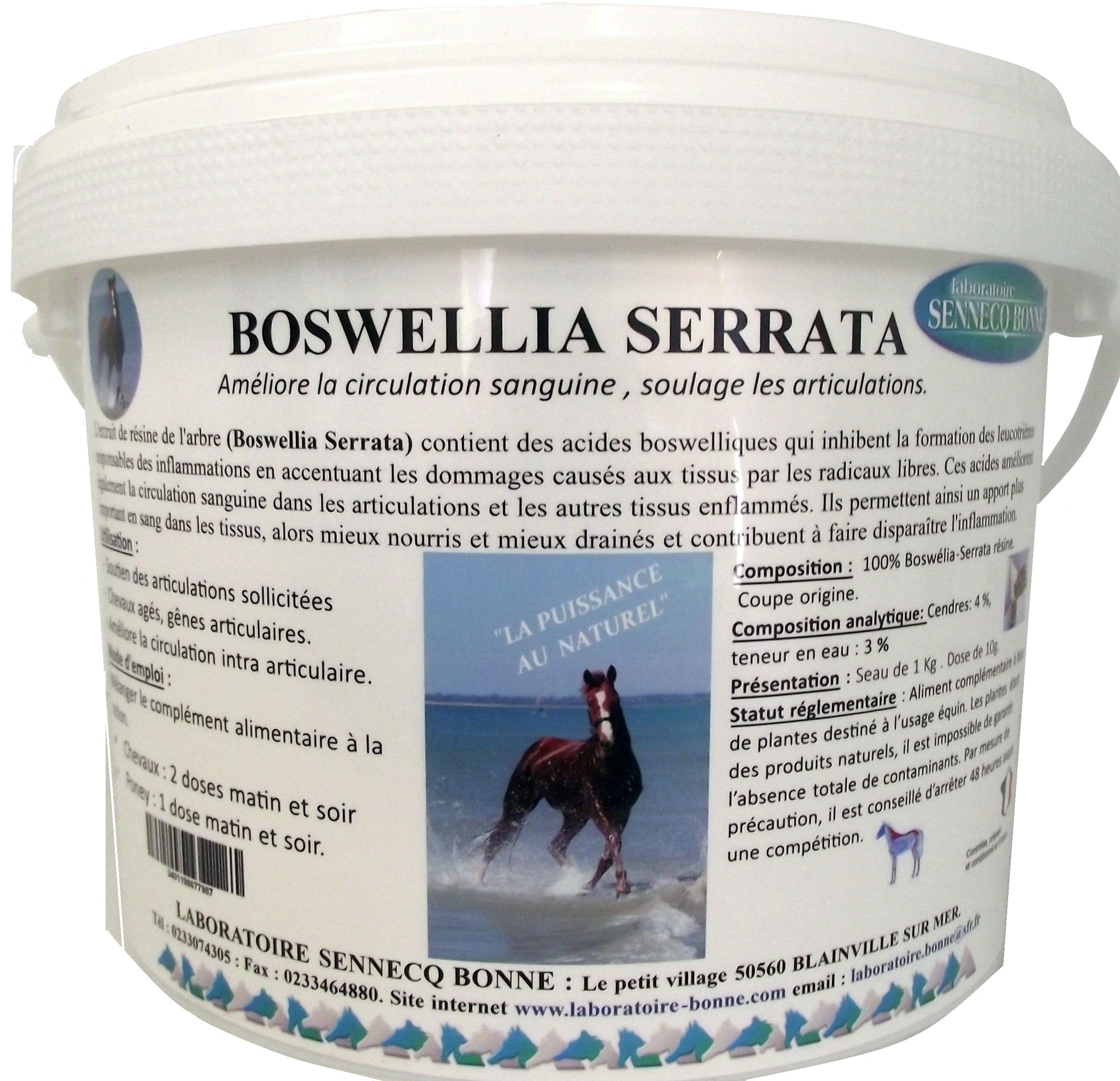 Sennecq Bonne Boswellia-Serrata Améliore Circulation Sanguine Soulage Articulation Cheval Poudre Orale 1kg