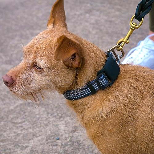 Miniatura 7 de Smartish Soporte para collar de perro para Airtag - Snitch - Paquete de 2 fundas Apple Air Tag para collares de gato o perro collares de 0.5 a 1.5