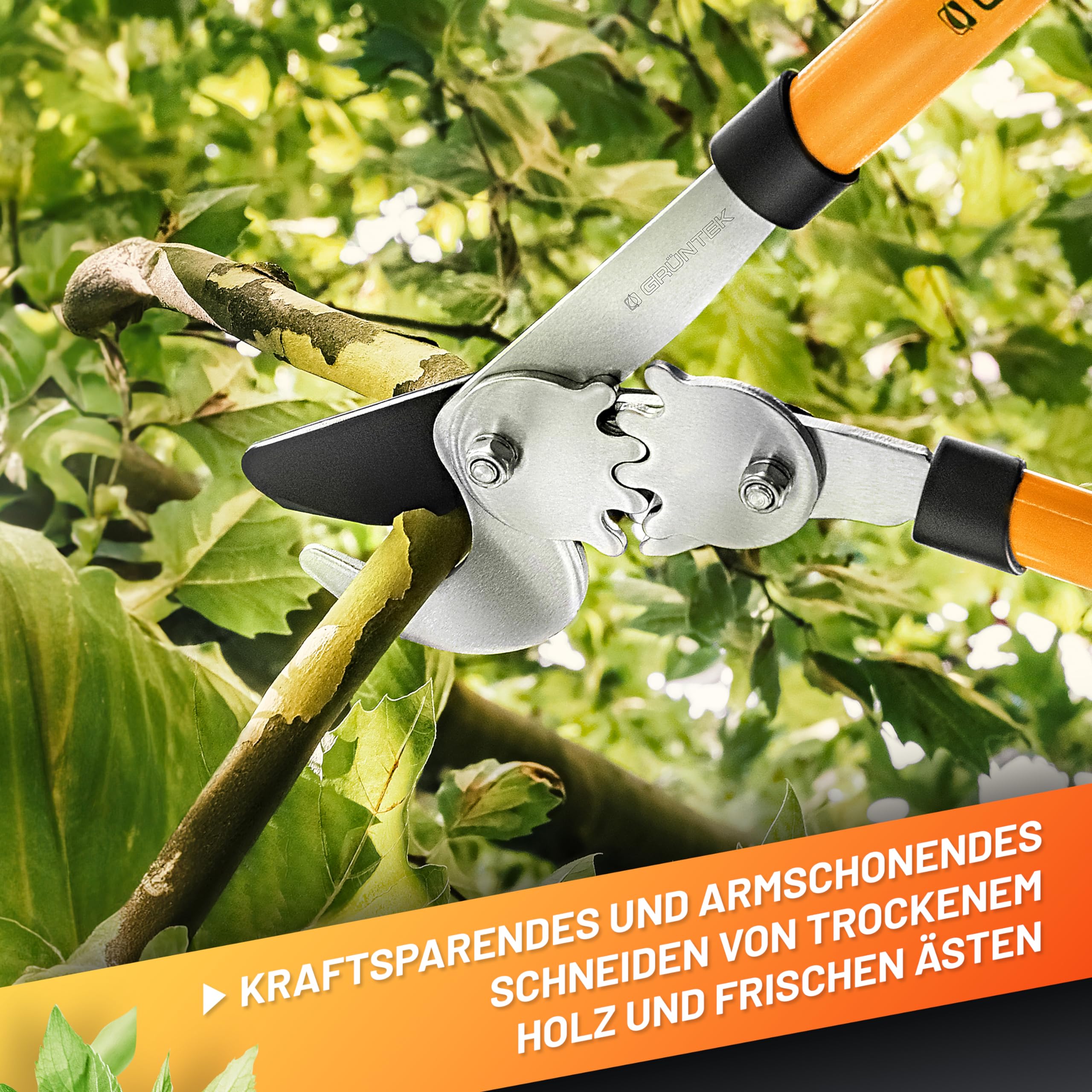 GRÜNTEK T-REX Bypass-Astschere mit 67mm SK5-Karbonstahlklingen, Antihaft-Beschichtung und 2-Gang-Getriebesystem – Präzisions-Garten-Schere für trockenes Holz, Heckenschere und Astschneider