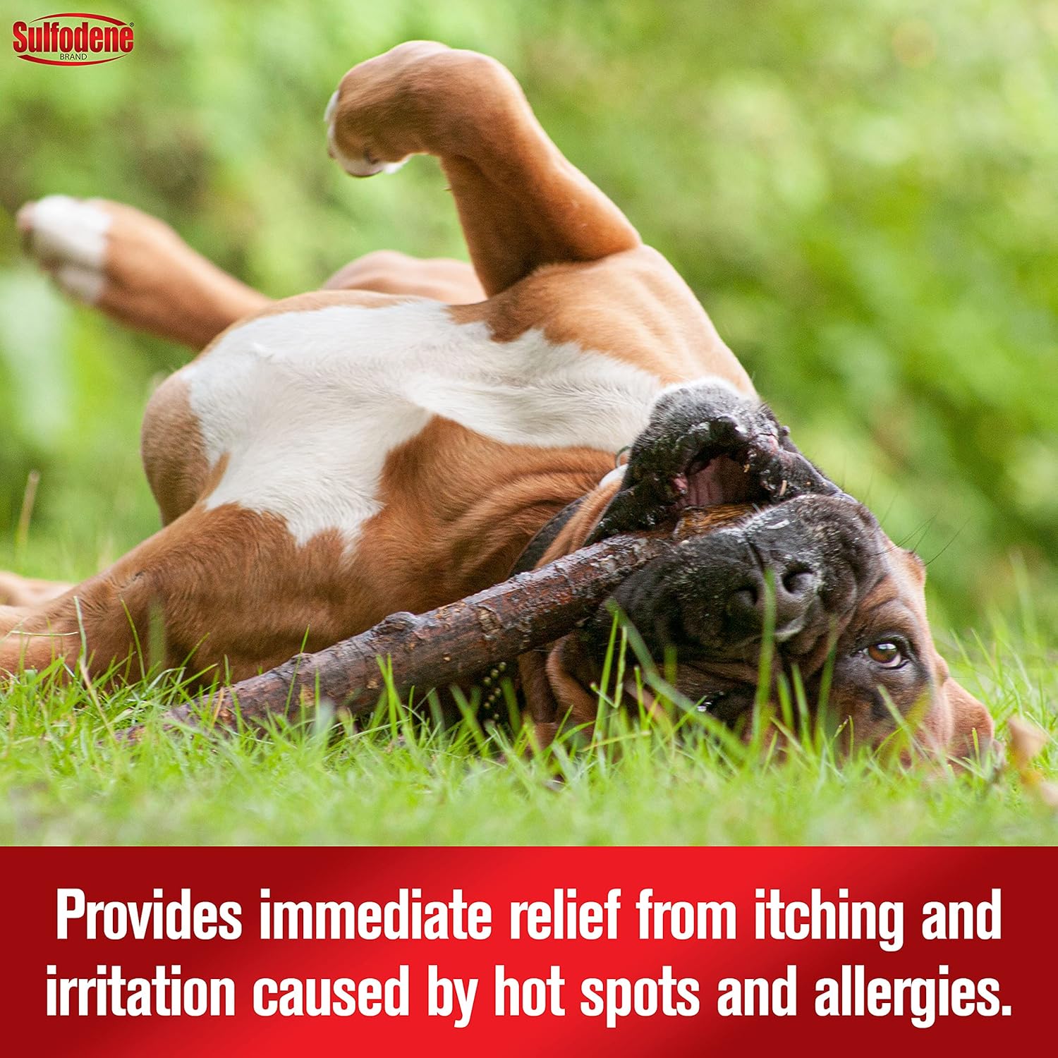 Sulfodene Hot Spot & Itch Relief Medicated Spray for Dogs