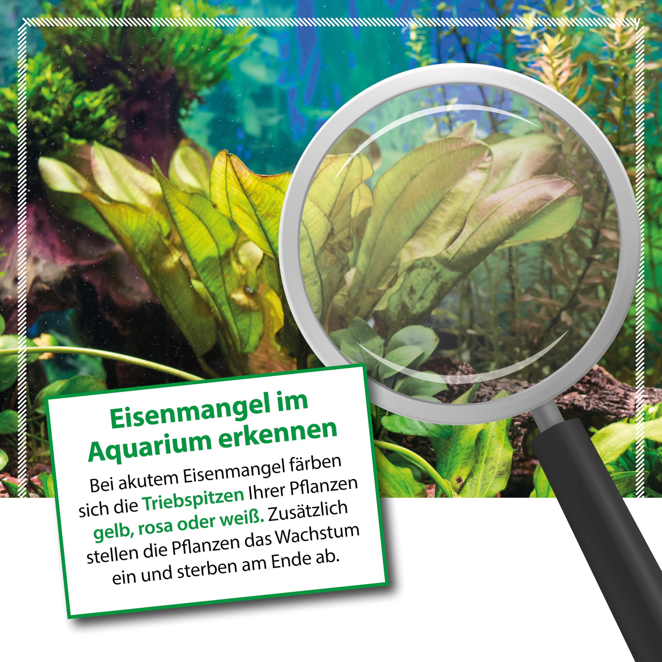 schafkot als dünger Schafwolle Pellets