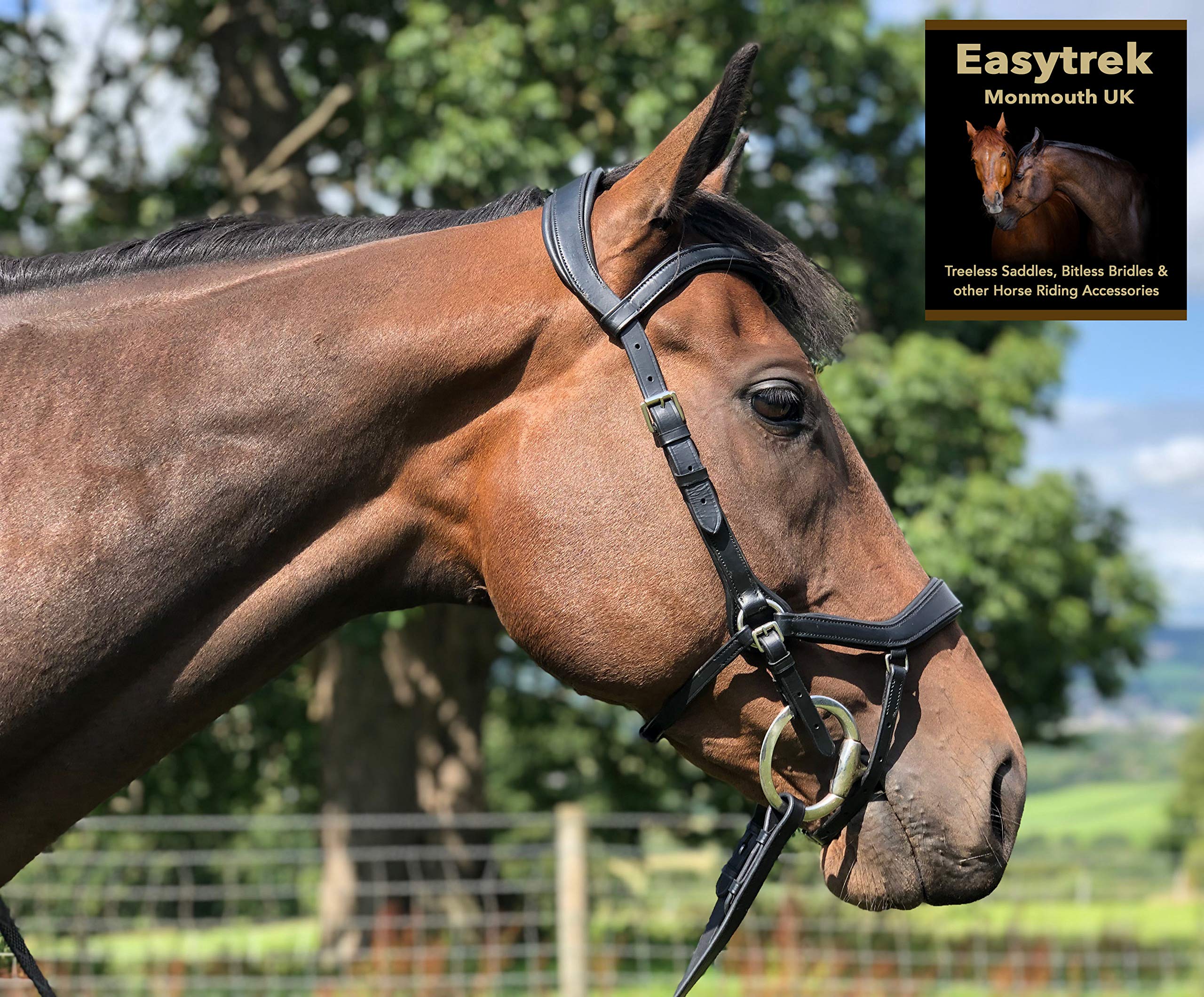 Equine Care Bride de cheval anglais avec rênes – Coutures