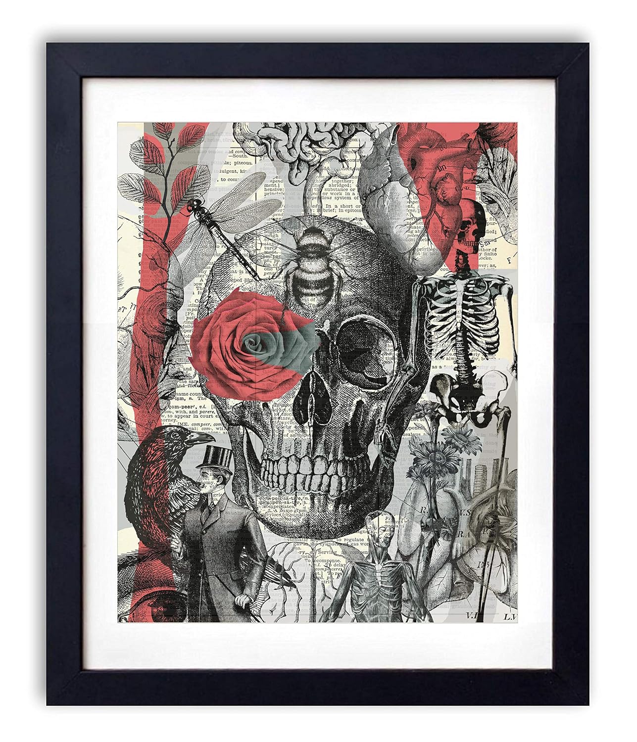 Skull, Skeleton Anatomy Vintage Dictionary Art Print, Modern Contemporary Wall Art for Home Decor, Boho Poster Sign 8x10 Inches, Unframed (Vintage Illustrations)