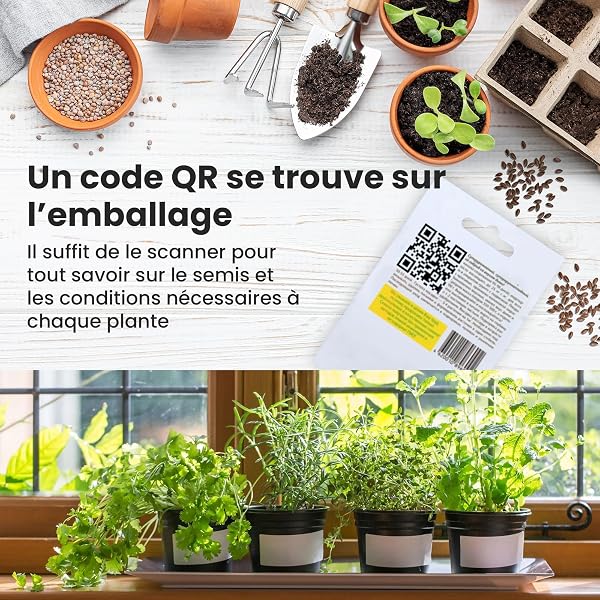 TORAF Kit de Graines de Légumes 12 Variétés – Graine Premium pour Jardin, Balcon et Potager – Tomates, Concombres, Courgettes, Salade, Carottes, Ciboulette – Kit de culture de plantes potagères - 4