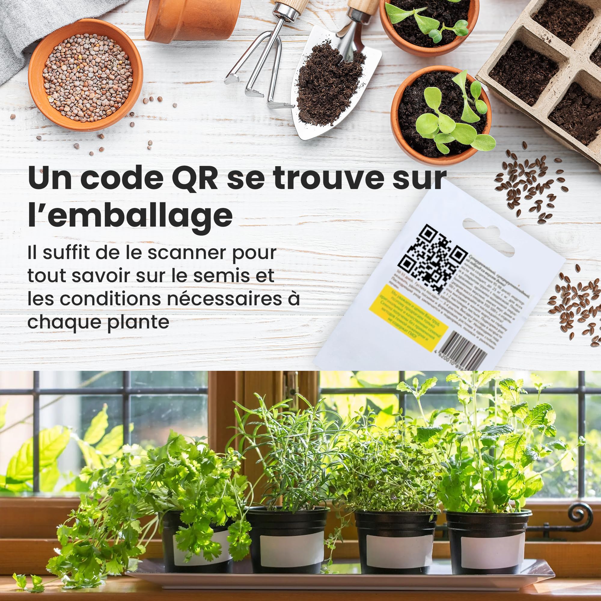 TORAF Kit de Graines de Légumes 12 Variétés – Graine Premium pour Jardin, Balcon et Potager – Tomates, Concombres, Courgettes, Salade, Carottes, Ciboulette – Kit de culture de plantes potagères - 4