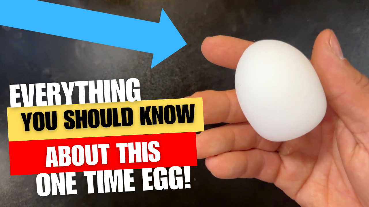 Watch EVERYTHING you need to know BEFORE you buy this egg... on Amazon Live