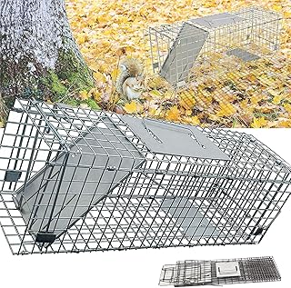 24'' Humane Live Animal Trap Cage for Rabbit, Raccoons, Cats, Opossums, Stray Cat, Squirrel, Large Collapsible Rodent Control Cage Traps Metal Steel No Kill Live Catcher, Easy Trap Catch & Release