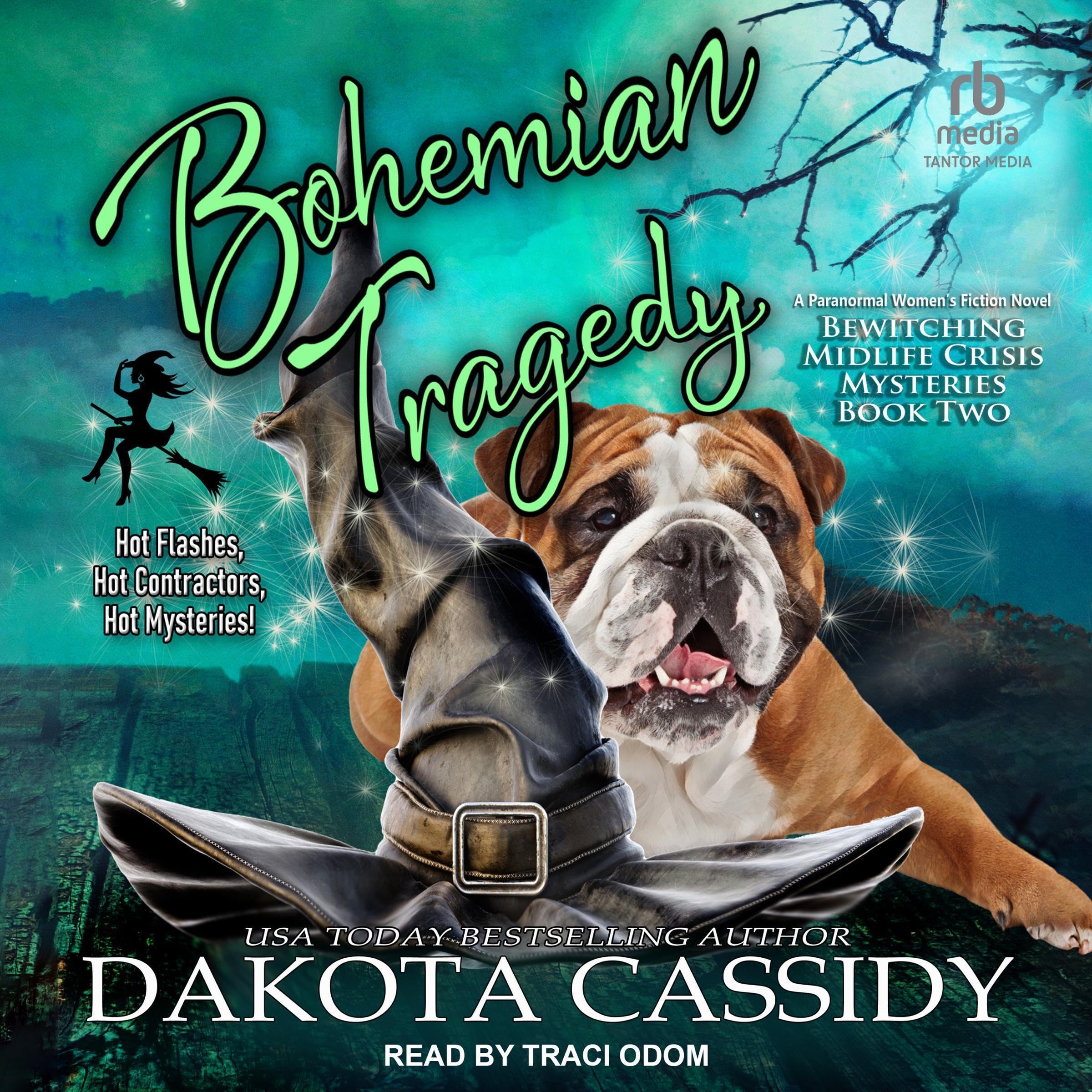 Cover art for Bohemian Tragedy