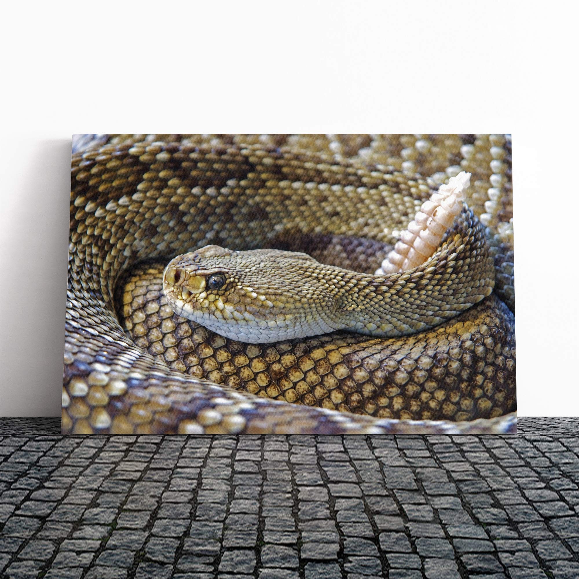 Rattle Snake Canvas Print | Gallery Wrapped 30mm Frame Wall Art | 24x16 inches | Ready to Hang | Modern Animals Picture | Living Room Bedroom Lounge Office