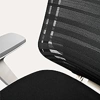 Vista 7 de Branch Ergonomic Chair - A Versatile Desk Chair with Adjustable Lumbar Support, Breathable Mesh Backrest, and Smooth Wheels - Experience Optimal